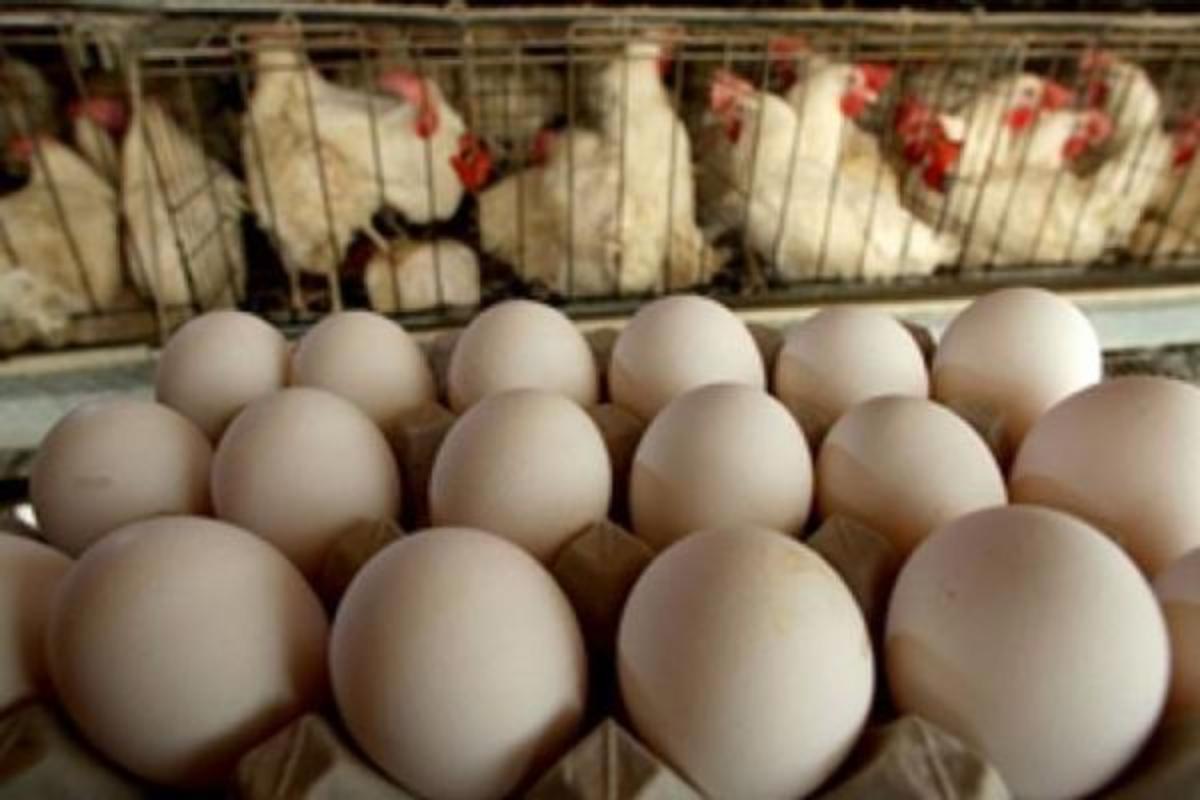 Mandatario nacional destaca capacidad productiva de Venezuela