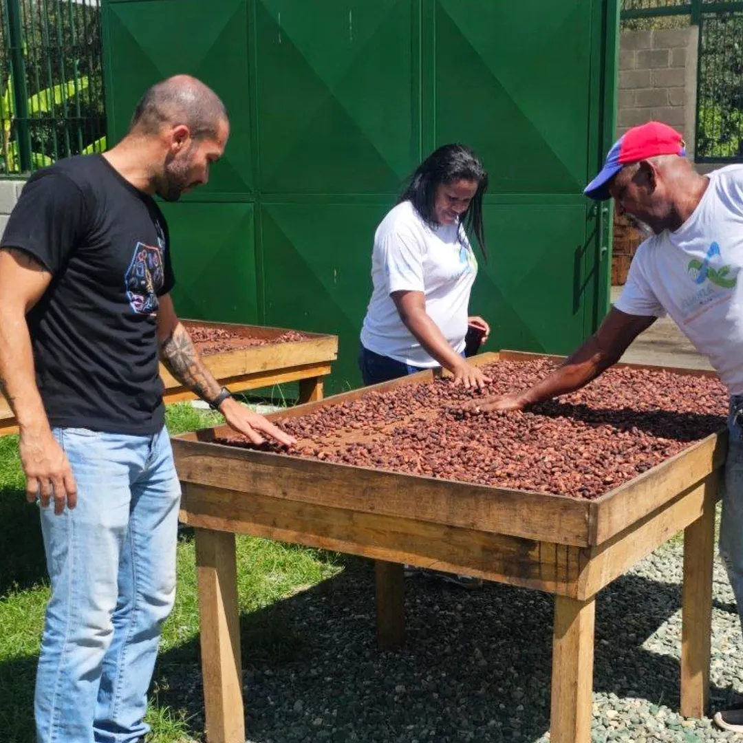 Diseñan plan de adiestramiento para espacios del Centro Nacional de Investigación, Desarrollo e Innovación del Cacao