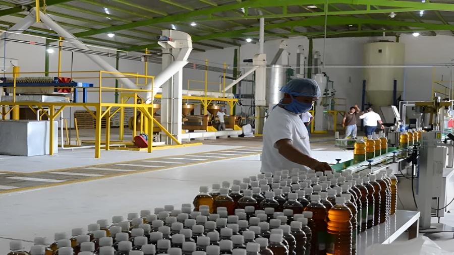 Industria venezolana avanza en la producción nacional