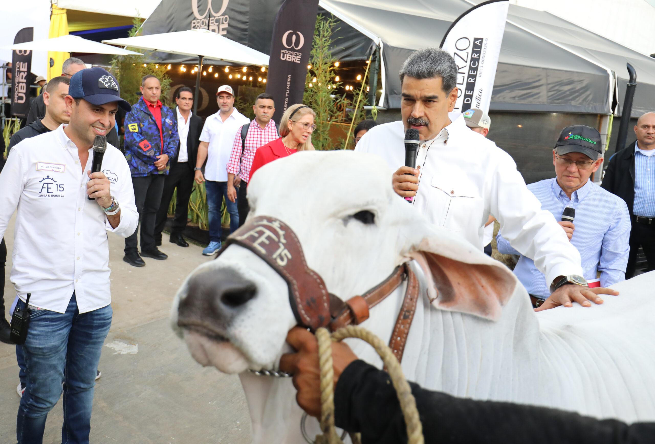 President Maduro inaugurated 48th National Fair of Zebu Cattle and its crossbreeds