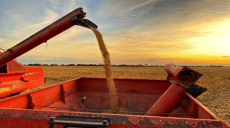 Soberanía alimentaria se fortalece con incremento de producción en el país