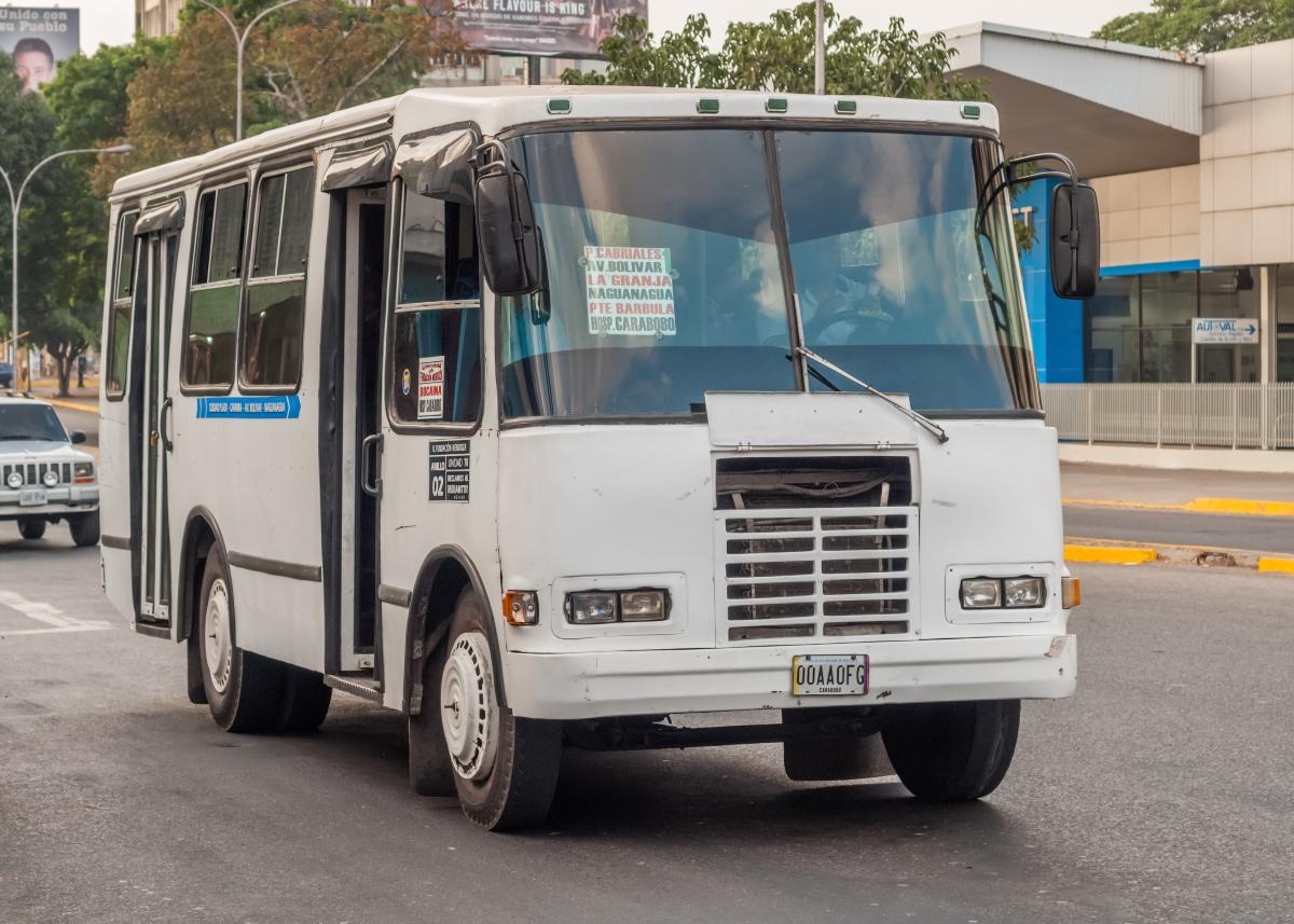 Sector transporte público optimizará servicio en la Semana Mayor