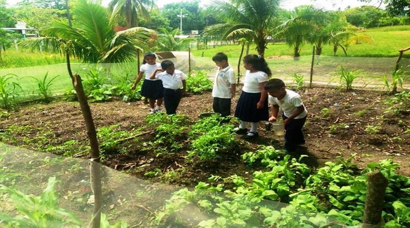 Venezuela will become the Megapower of food-producing