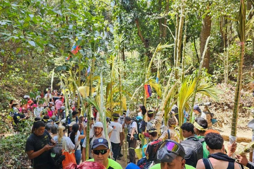 Palmeros de Chacao, tradición que se siente en el corazón