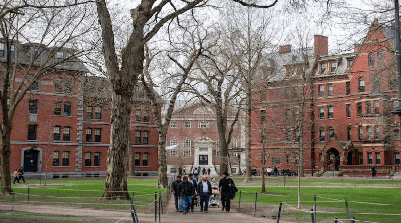 Harvard denuncia suspensión ilegal de visados para estudiantes extranjeros