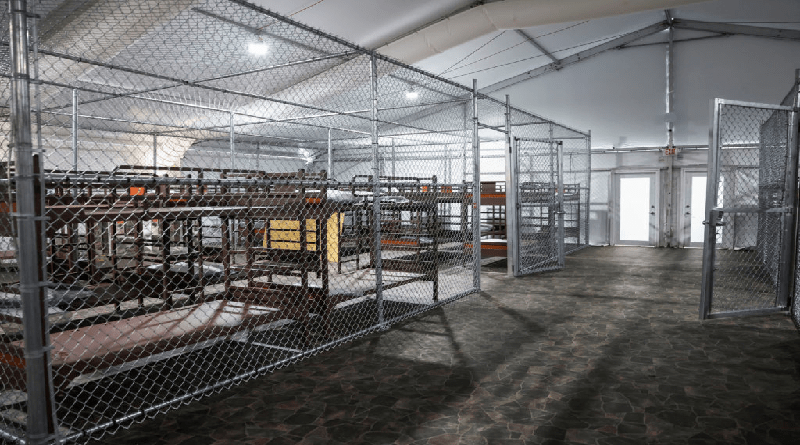 Artista cubano denuncia maltratos a migrantes en Alligator Alcatraz