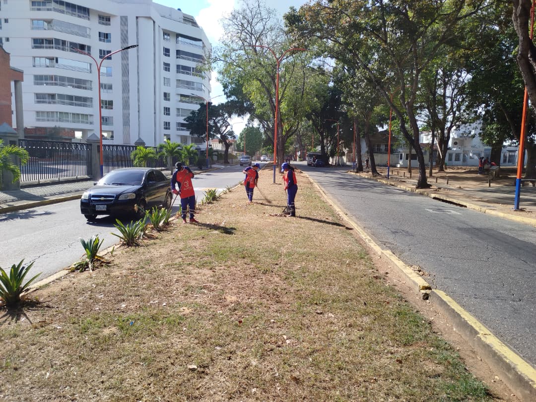 Beneficiadas más de 11 mil familias con el Plan Cayapa de limpieza en Valencia