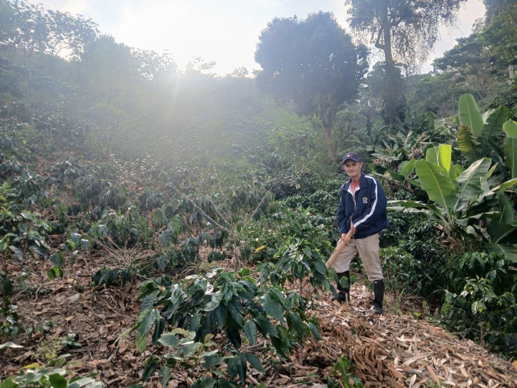 Tierra Gayona fortalece la producción agroecológica y la vida comunal en Lara