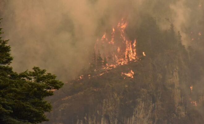 Red de Brigadas Autoconvocadas advierte que incendio en la Comarca Andina sigue activo y denuncia ataques intencionales