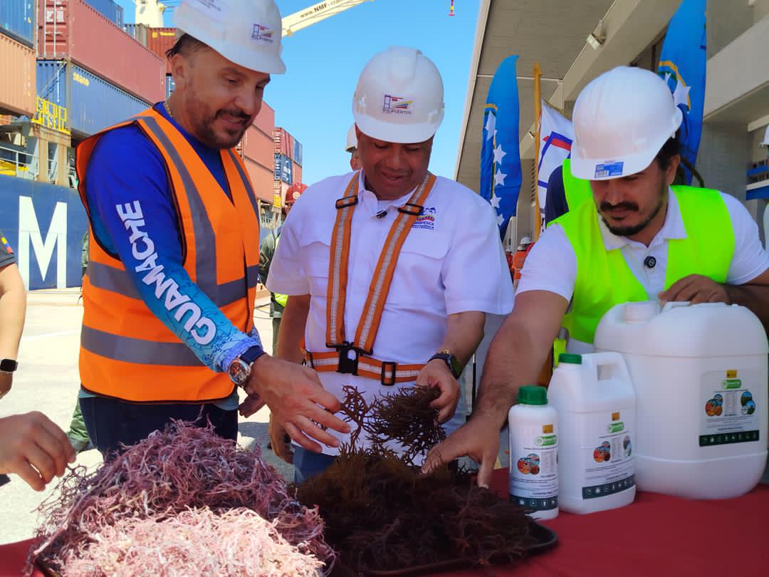 Venezuela exporta productos pesqueros y algas a Japón y Chile