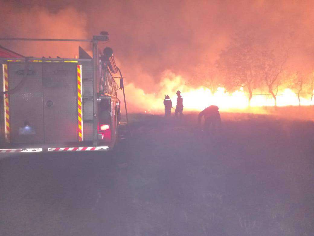Incendio forestal arrasa con tres hectáreas de la Unellez Cojedes