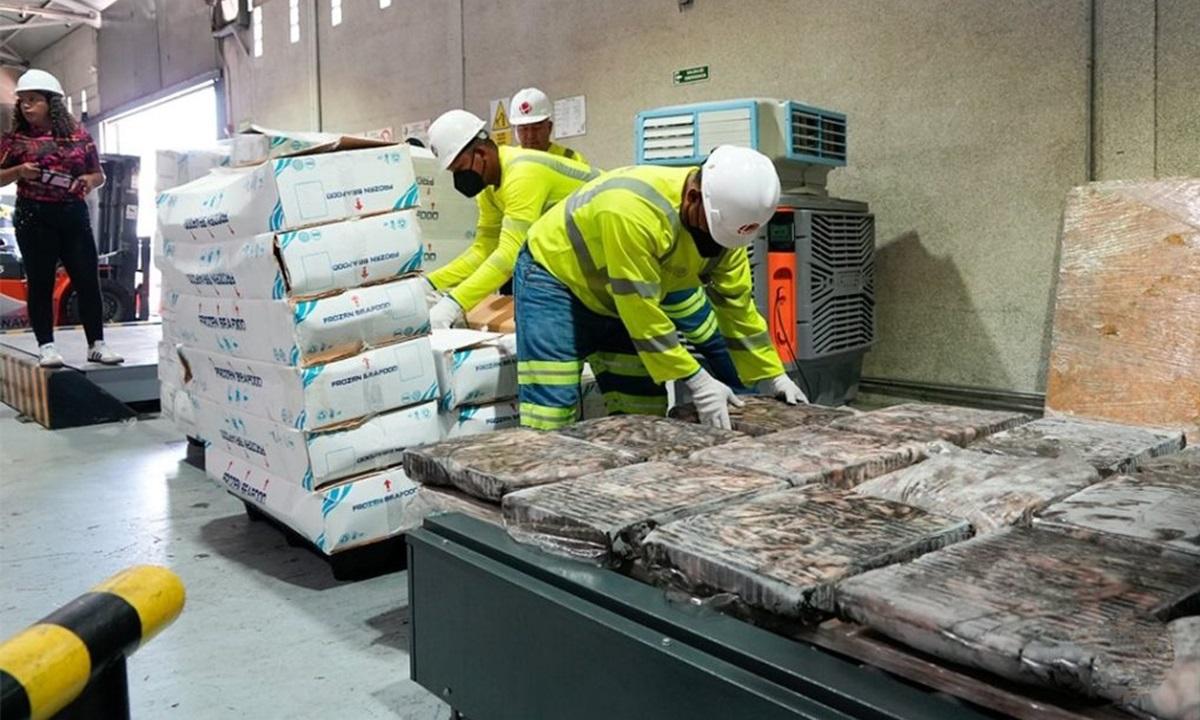 Nueve proyectos de desarrollo diversifican economía en La Guaira