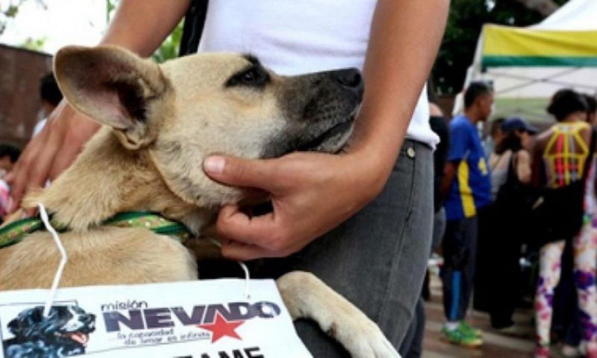 Activado nuevo consultorio veterinario de la Misión Nevado en Los Teques