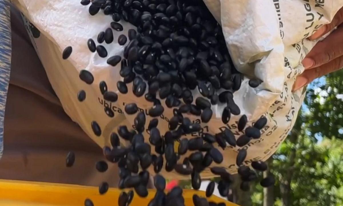 Plan Semilla Comunal impulsa formación en cultivo de leguminosas tradicionales
