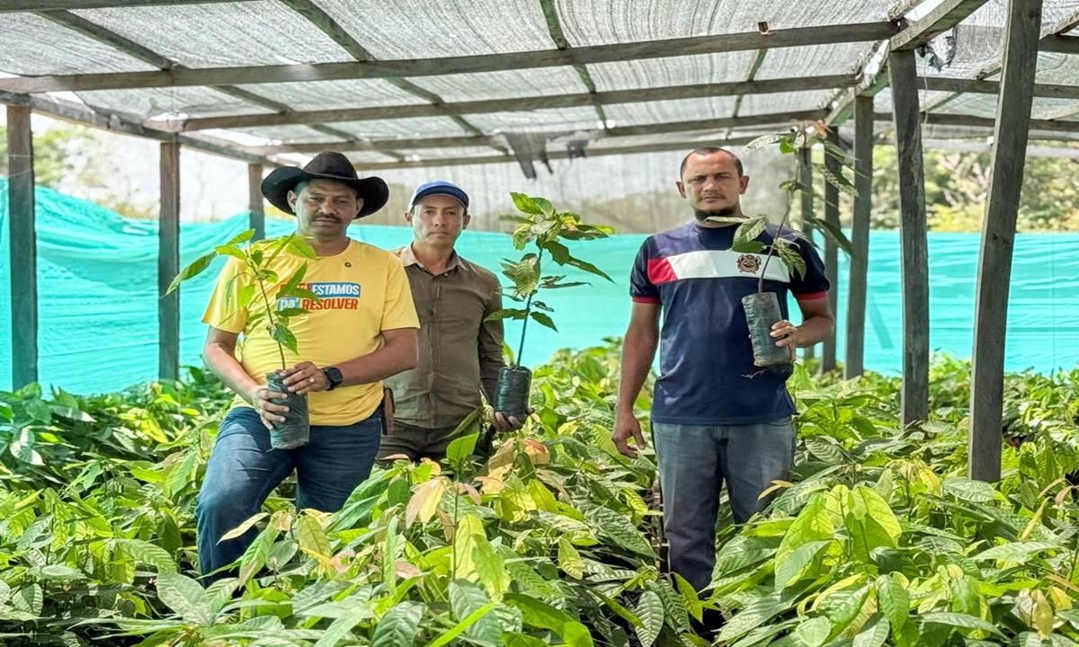Inicia Plan de Producción de Cacao en el Bajo Apure