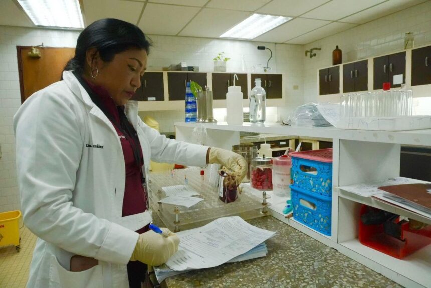 Despliegan Plan Cayapa de la Salud en el Banco de Sangre del Zulia