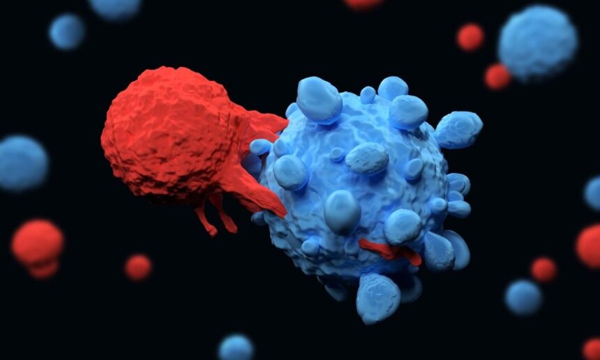 Células modificadas eliminan todo rastro de cáncer en solo dos semanas