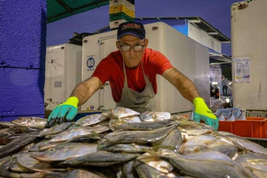 Autoridades del Plan Venezuela Come Pescado supervisan el Mercado de Coche