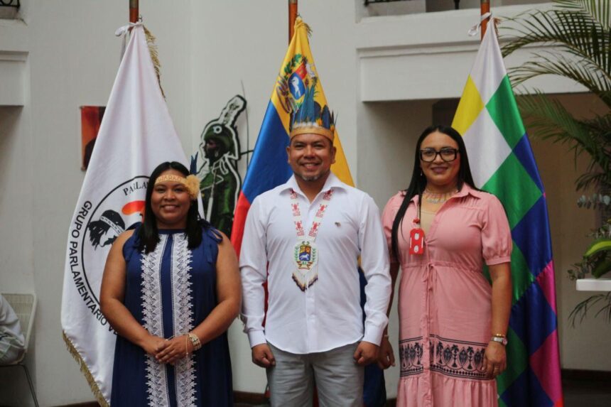 Venezuela elevará voz de los pueblos indígenas a nivel internacional