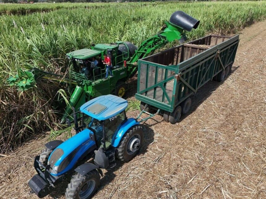 Cierre de zafra 2025-2026 arrojó molienda de 670 mil toneladas de caña de azúcar