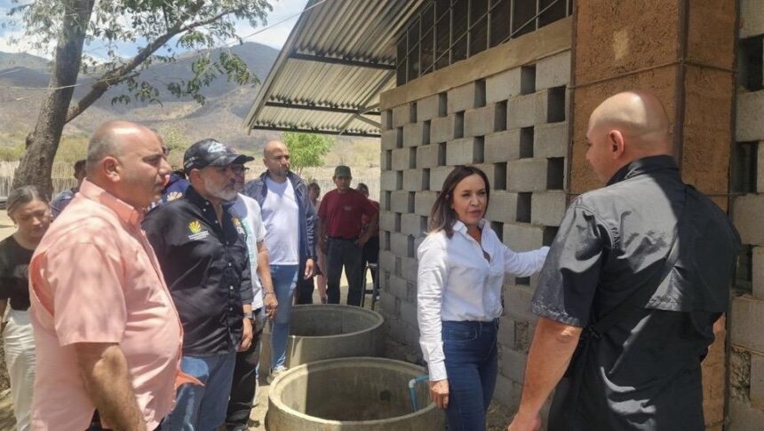 Instalarán mesas de trabajo en Lara para promover el cocuy en el mercado internacional