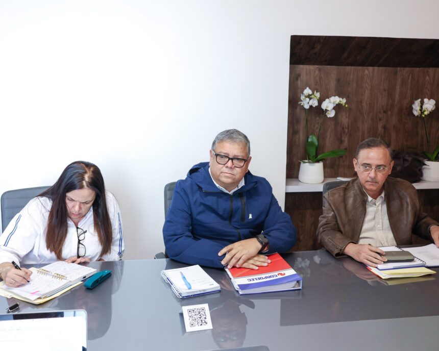 Presidenta (E) Delcy Rodríguez solicita la máxima colaboración de gobernadores, gobernadoras, alcaldes y alcaldesas para garantizar el estricto cumplimiento de los planes de «Pica y Poda»