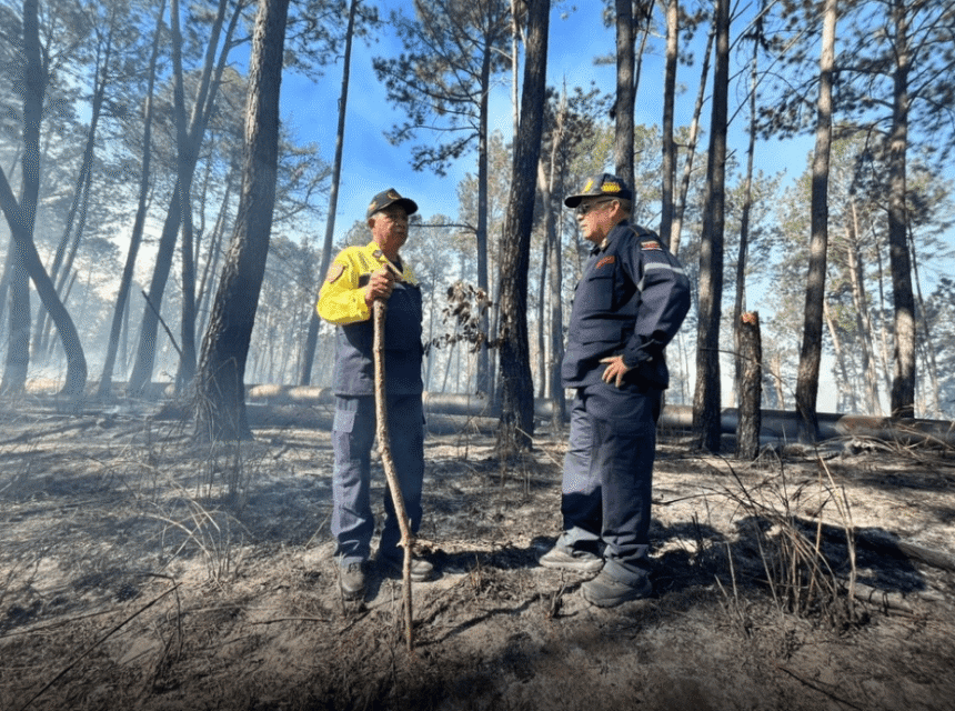 Efectivos combaten incendio de vegetación de magnitud en la bajada de Tazón