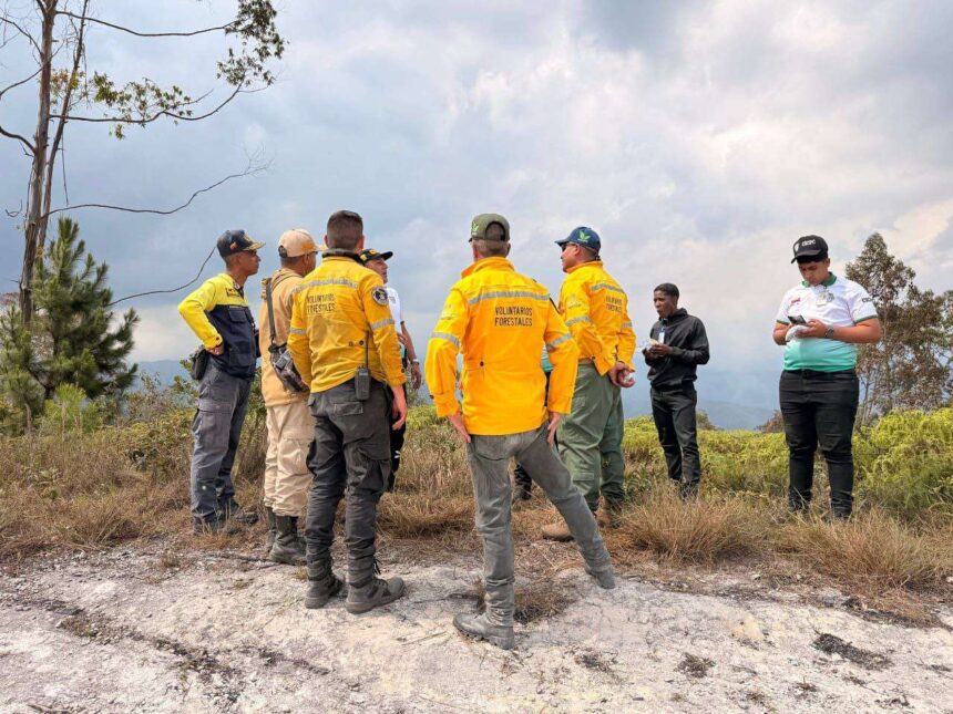 Mantienen labores para la contención y liquidación de los incendios en los parques Henri Pittier y Macaro