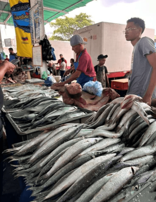 Más de mil puntos de venta de pescado a precios económicos distribuidos en el país