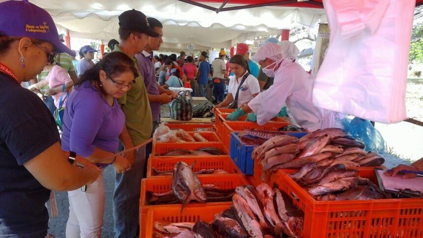Insopesca Carabobo garantiza la distribución oportuna de pescado