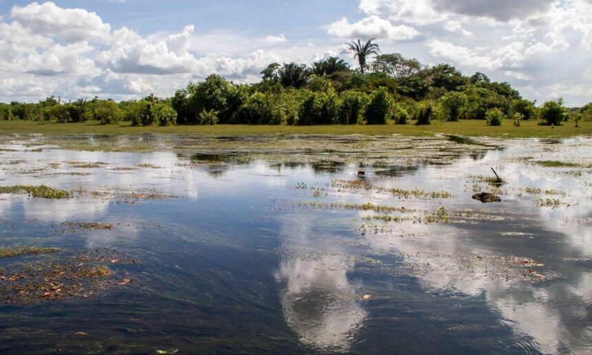 Jornada de sensibilización ambiental refuerza la importancia de proteger los reservorios de agua