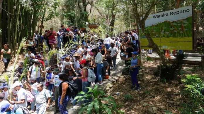 Este sábado se realizará la tradicional bajada de los Palmeros