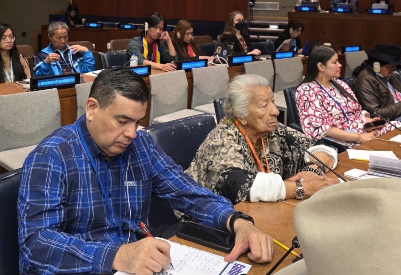 Noeli Pocaterra participa en el 25° Periodo de Sesiones del Foro Permanente para las Cuestiones Indígenas en la ONU