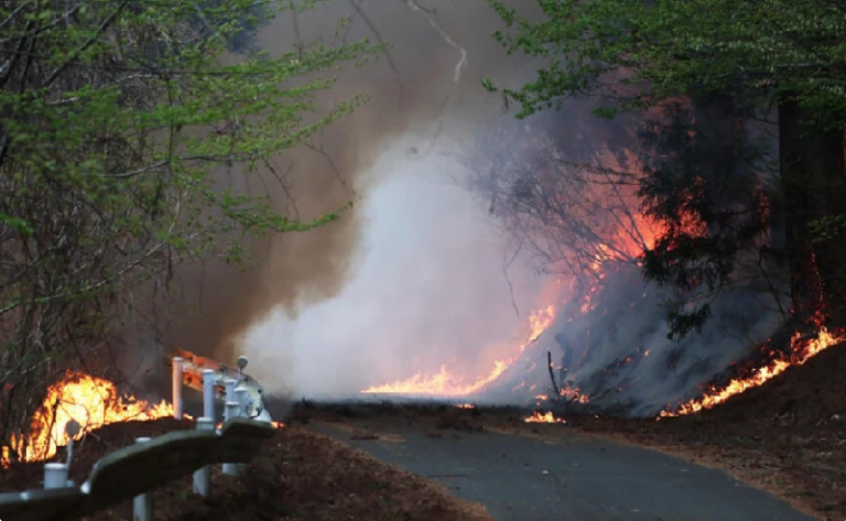 Evacúan a miles de residentes en Japón por incendios forestales
