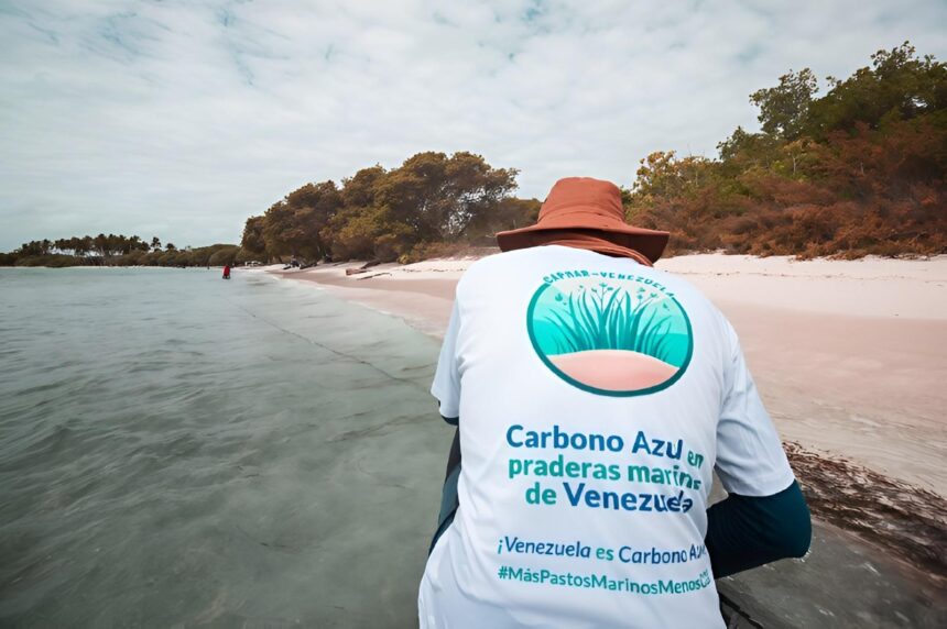 Científicos evalúan capacidad de almacenamiento de Carbono Azul en el Parque Nacional Morrocoy