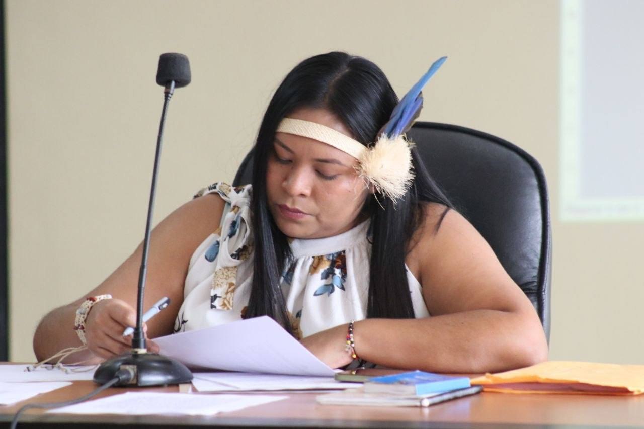 Comisión de Pueblos Indígenas avanza en consulta de la Ley de Danza