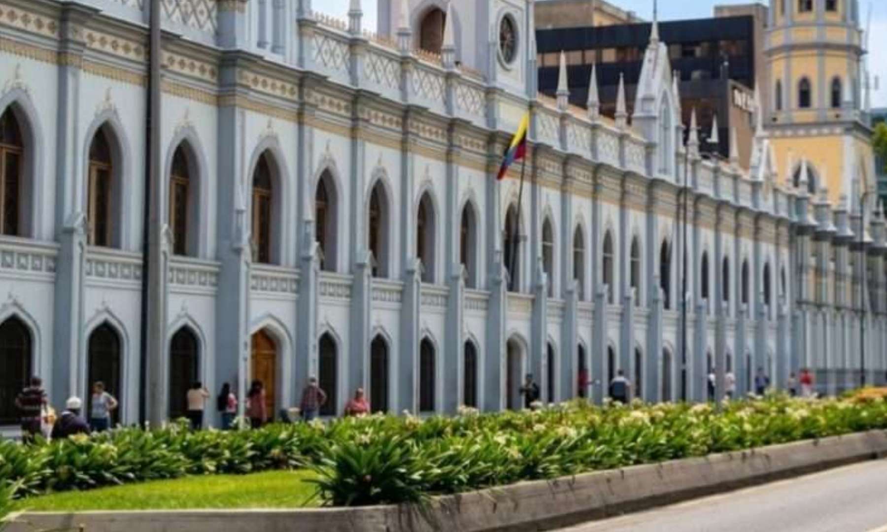 Academia Nacional de Medicina descarta alerta sanitaria por hantavirus en Venezuela