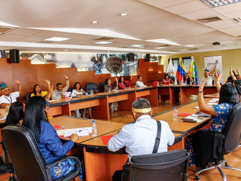 Parlamento Indígena y Afrodescendientes de América fortalecerá seguridad jurídica y social de pueblos originarios