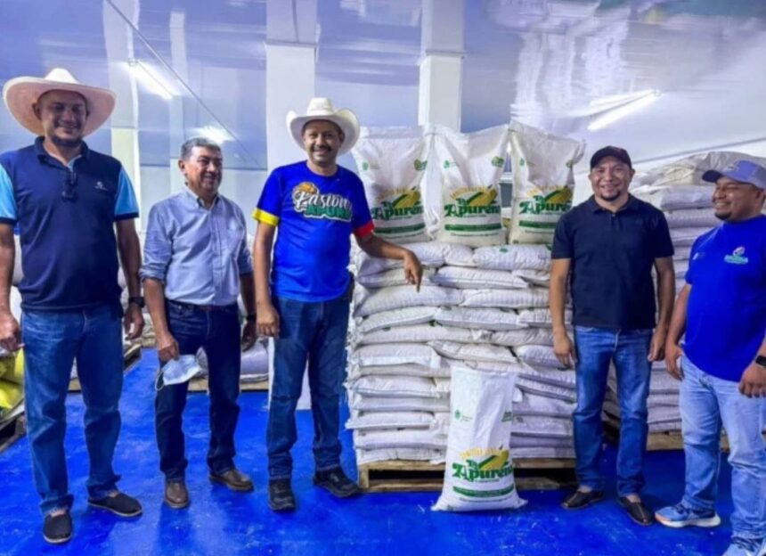 Consolidan producción de semilla certificada «La Apureña» para el sector agrícola