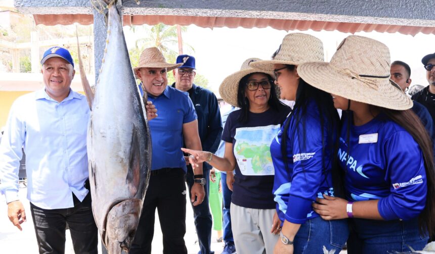 El sector pesca se ha convertido en un verdadero motor de la economía nacional