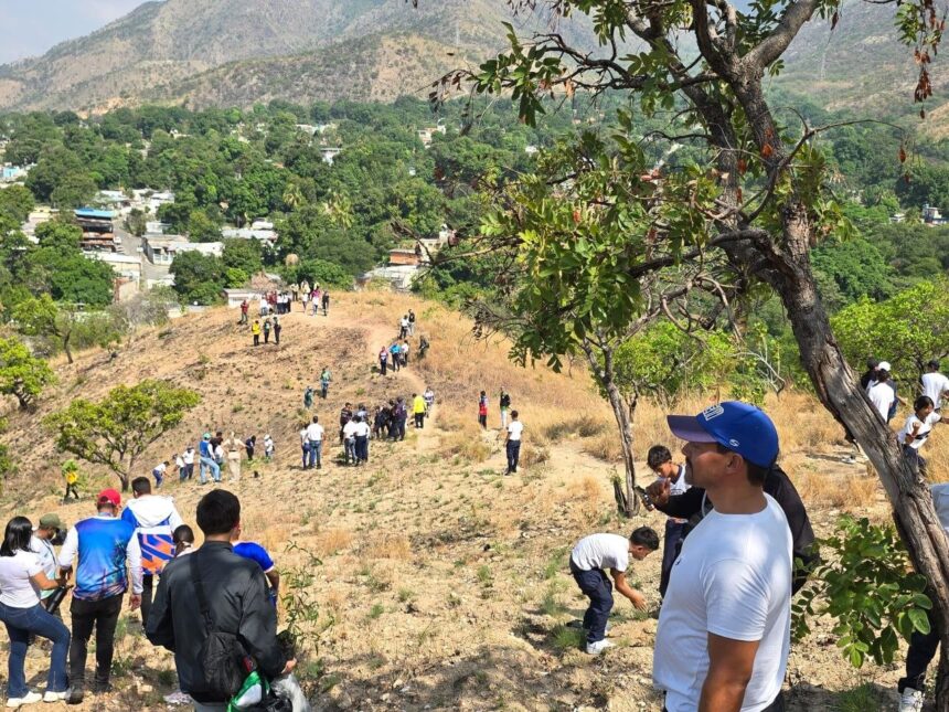 Gobierno de Carabobo inició Plan de Reforestación en el Parque Nacional Henri Pittier en Diego Ibarra