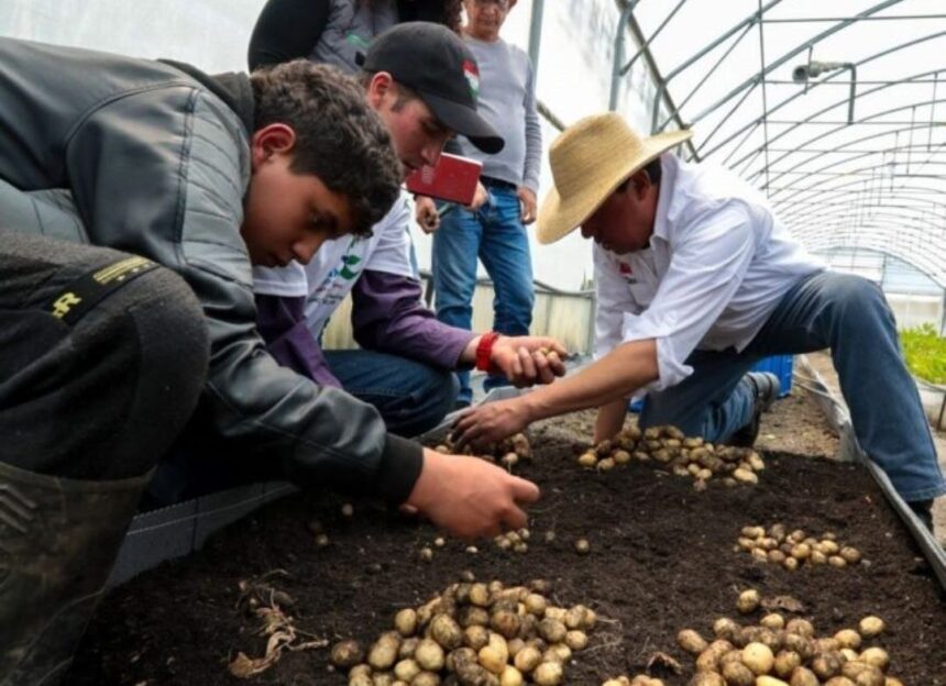 Alianza Científico-Campesina dicta curso de formación para nuevos semilleristas de papa en Mérida