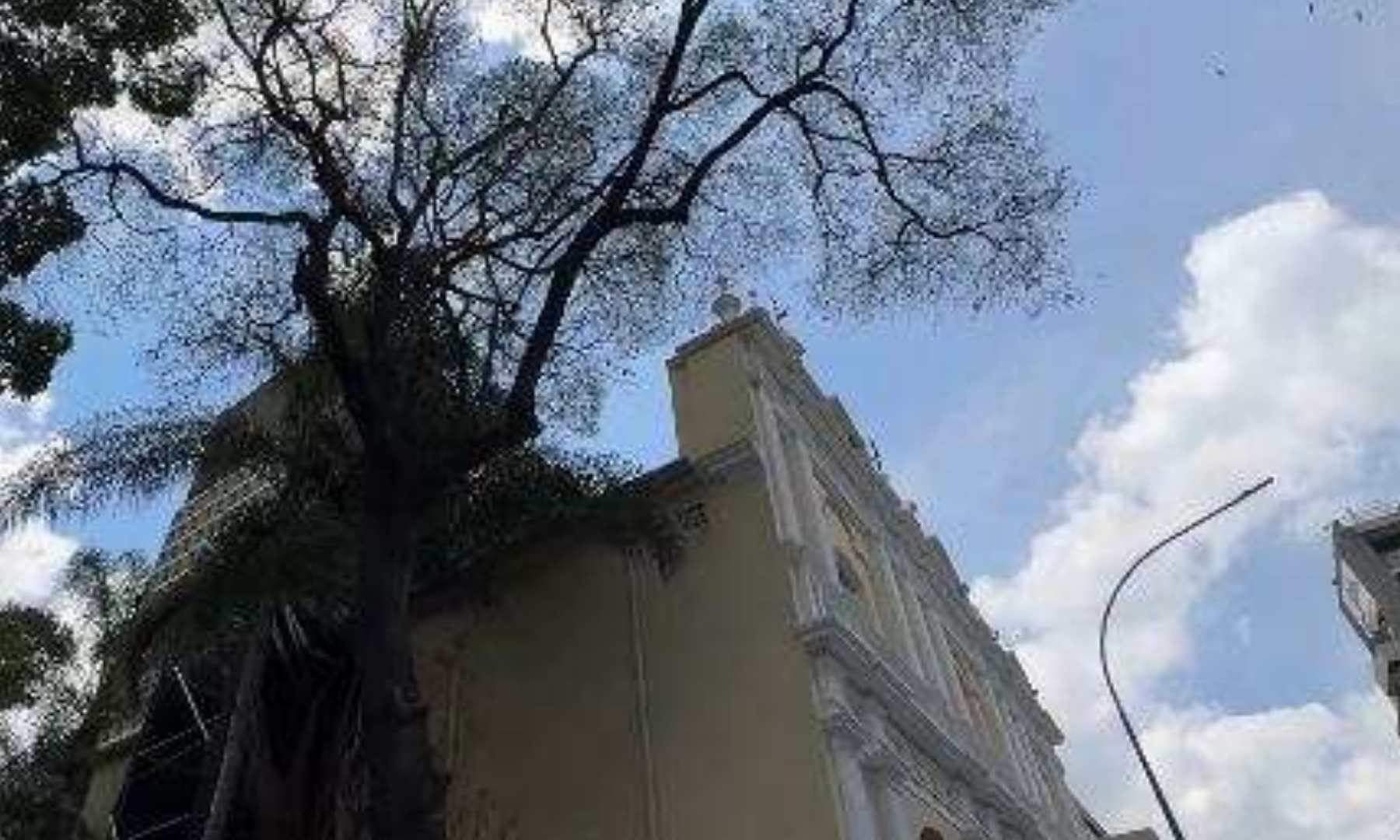 Realizan trabajos de rehabilitación en iglesia Nuestra Señora de Altagracia