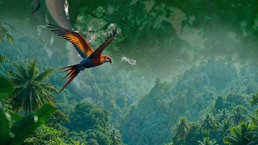Venezuela reafirma compromiso con la conservación de la Biodiversidad