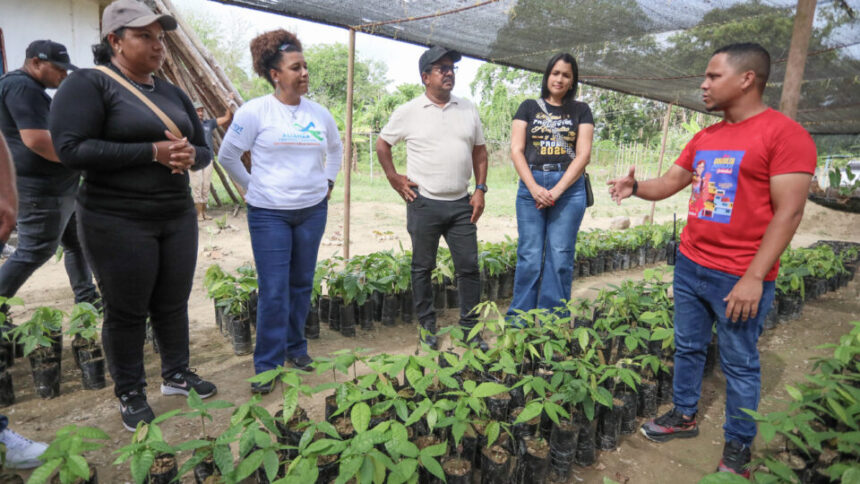 Red Científica Tecnológica de Innovación del Cacao fortalece capacidades productivas y genéticas en Sucre