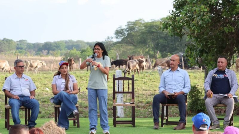 Presidenta (E) Rodríguez anuncia Primer Encuentro de la Economía del Emprendimiento y Comunal