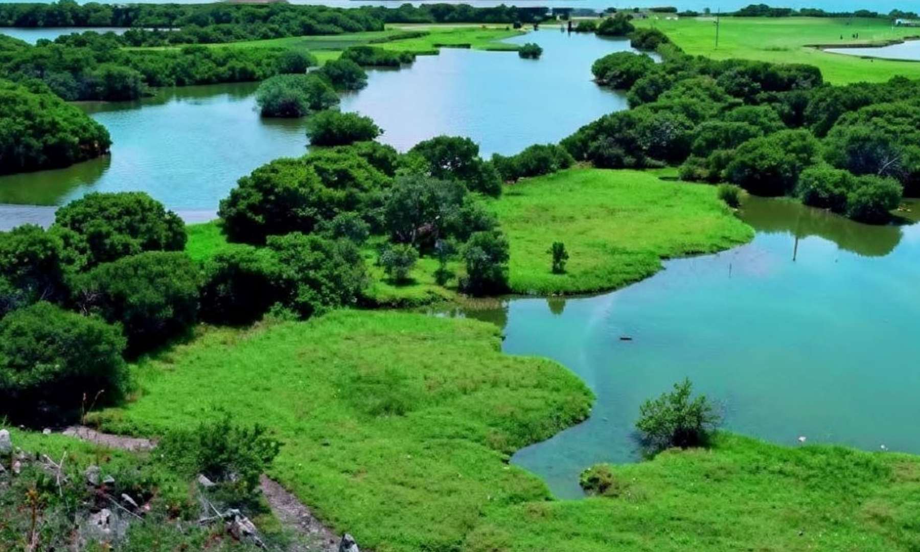 Guárico y Aragua activan Ruta Turística Agroproductiva