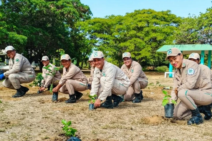 Anzoátegui suma 653 nuevos árboles para proteger sus espacios naturales