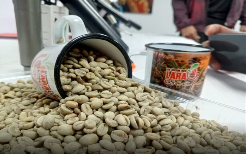 Feria Lara Es Café 2026 proyecta consolidar al estado como principal productor
