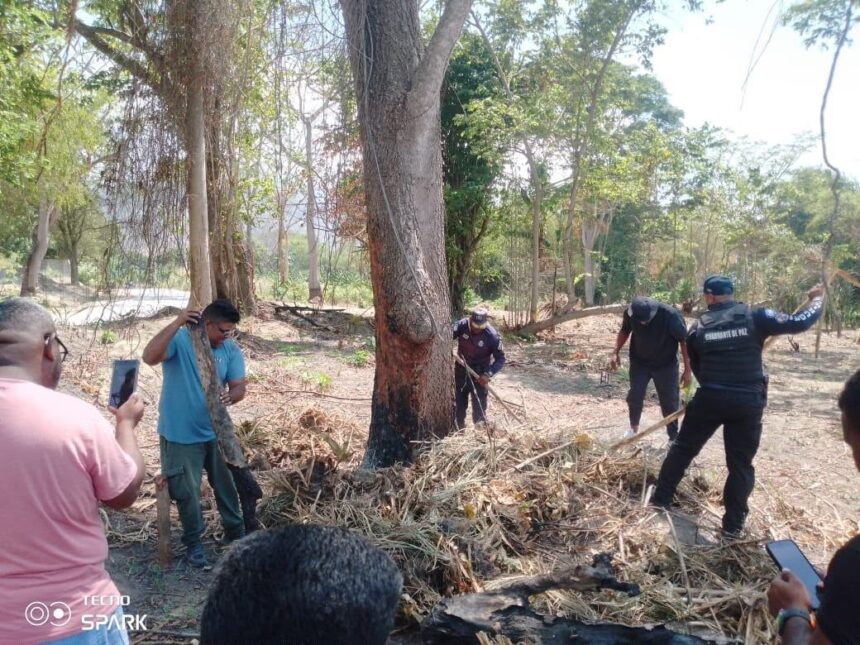 Prohíben quemas agrícolas en La Guaira ante alerta de incendios forestales